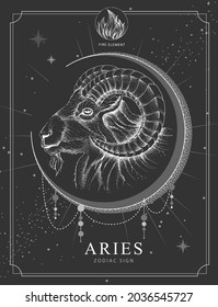 Modern magic witchcraft card with astrology Aries zodiac sign. Realistic hand drawing ram or mouflon head