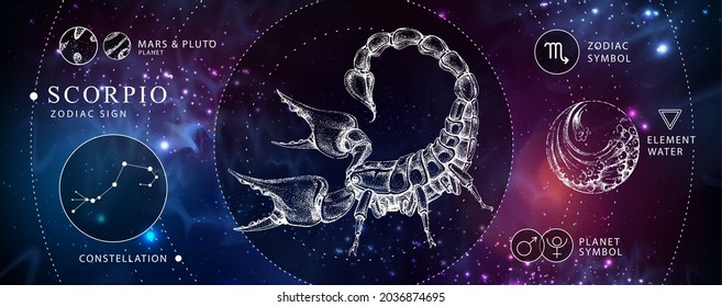 Tarjeta de brujería mágica moderna con signo de astrología Scorpio zodiac. Una mano realista que dibuja la ilustración del escorpión. Característica del zodiaco