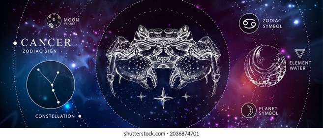 Modern magic witchcraft card with astrology Cancer zodiac sign. Realistic hand drawing crab illustration. Zodiac characteristic