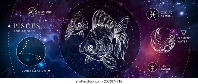 Modern magic witchcraft card with astrology Pisces zodiac sign. Realistic hand drawing koi fish illustration. Zodiac characteristic