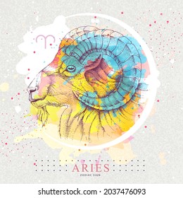 Tarjeta de brujería mágica moderna con signo Aries zodiac astrología. Dibujo manual realista Ilustración de la cabeza de Ram o mouflon