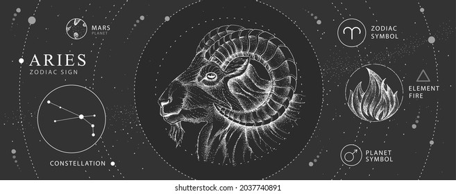 Modern magic witchcraft card with astrology Aries zodiac sign. Realistic hand drawing ram or mouflon head. Zodiac characteristic