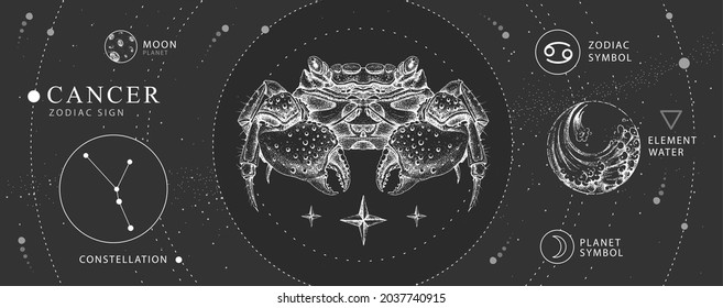 Modern magic witchcraft card with astrology Cancer zodiac sign. Realistic hand drawing crab illustration. Zodiac characteristic