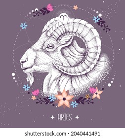 Modern magic witchcraft card with astrology Aries zodiac sign. Realistic hand drawing ram or mouflon head