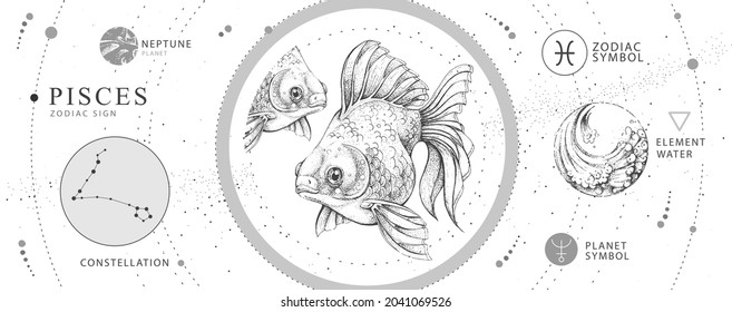 Modern magic witchcraft card with astrology Pisces zodiac sign. Realistic hand drawing koi fish illustration. Zodiac characteristic