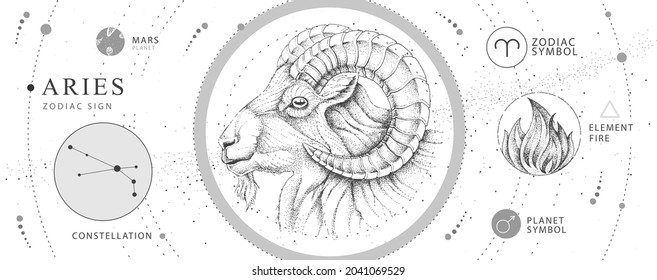 Tarjeta de brujería mágica moderna con signo Aries zodiac astrología. Borrador de mano realista o cabeza de ratón. Característica del zodiaco