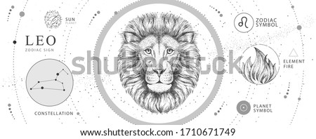 Modern magic witchcraft card with astrology Leo zodiac sign. Realistic hand drawing lion head. Zodiac characteristic Foto stock © 
