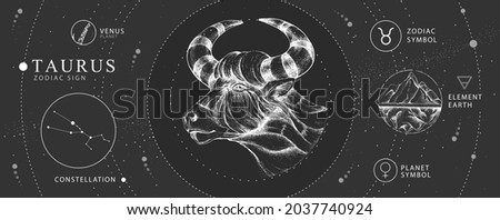 Modern magic witchcraft card with astrology Taurus zodiac sign. Realistic hand drawing bull head. Zodiac characteristic