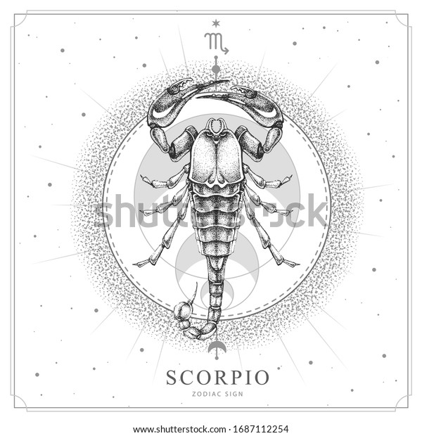 Modern magic\
witchcraft card with astrology Scorpio zodiac sign. Realistic hand\
drawing scorpion\
illustration