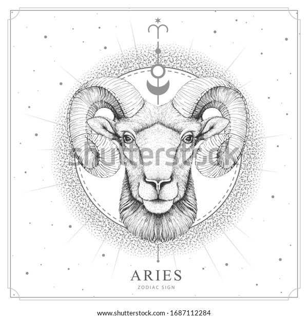 Modern magic witchcraft
card with astrology Aries zodiac sign. Realistic hand drawing ram
or mouflon head