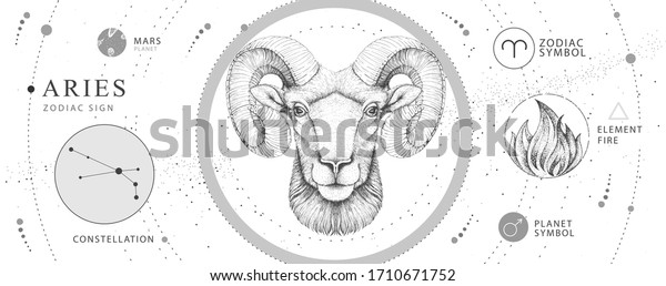 Modern magic witchcraft card with\
astrology Aries zodiac sign. Realistic hand drawing ram or mouflon\
head. Zodiac\
characteristic