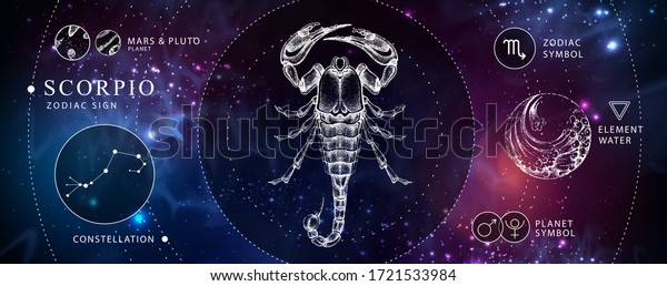 Modern magic witchcraft card with\
astrology Scorpio zodiac sign. Realistic hand drawing scorpion\
illustration. Zodiac\
characteristic