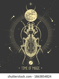 Modern magic witchcraft card with moon and ground beetle. Hand drawing occult vector illustration