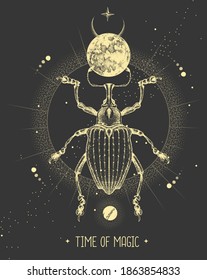 Modern magic witchcraft card with moon and Curculionidae beetle. Hand drawing occult vector illustration