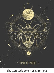 Modern magic witchcraft card with moon and shield beetle. Hand drawing occult vector illustration