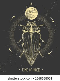 Modern magic witchcraft card with moon and Belionota tricolor beetle. Hand drawing occult vector illustration