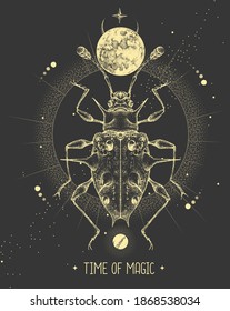 Modern magic witchcraft card with moon and Endomychidae beetle. Hand drawing occult vector illustration