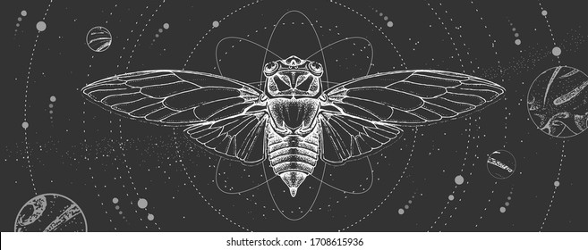 Modern Magic Witchcraft Card With Solar System And Cicada. Hand Drawing Occult Vector Illustration