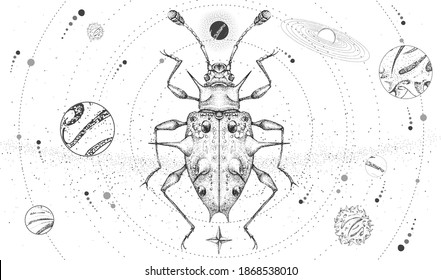 Modern magic witchcraft card with solar system and Endomychidae beetle. Hand drawing occult vector illustration