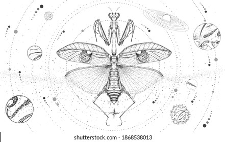 Modern magic witchcraft card with solar system and praying mantis. Hand drawing occult vector illustration