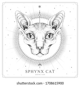 Modern magic witchcraft card with  sphynx cat. Realistic hand drawing sphynx cat head