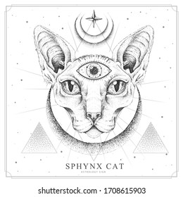 Modern magic witchcraft card with  sphynx cat and all-seeing eye. Realistic hand drawing sphynx cat head