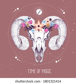 Modern magic witchcraft taros card with animal skull with flower wreath on astrology background. Vector illustration