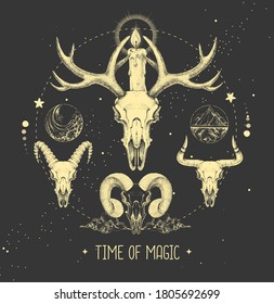 Modern magic witchcraft taros card with animal skull and four elements on astrology background. Vector illustration