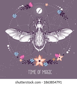 Modern magic witchcraft taros card with ground beetle on astrology background. Vector illustration