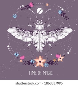 Modern magic witchcraft taros card with Endomychidae beetle on astrology background. Vector illustration