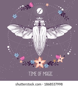 Modern magic witchcraft taros card with Belionota tricolor beetle on astrology background. Vector illustration