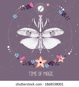 Modern magic witchcraft taros card with praying mantis on astrology background. Vector illustration