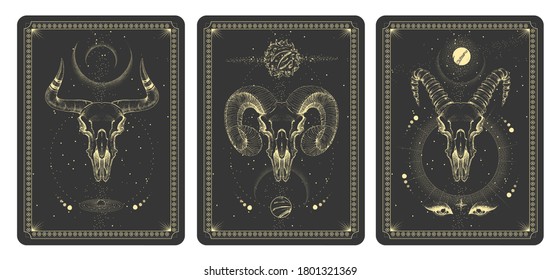 Modern magic witchcraft taros cards with animal skulls vector illustration