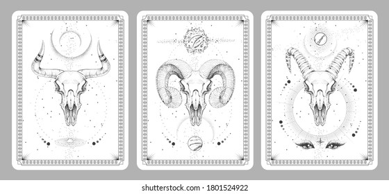 Modern magic witchcraft taros cards with animal skulls vector illustration