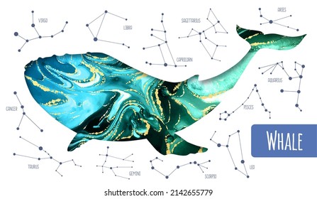 Modern magic witchcraft whale silhouette with alcohol ink background inside. Star map background with constellations