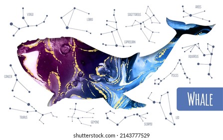 Modern magic witchcraft whale silhouette with alcohol ink background inside. Star map background with constellations