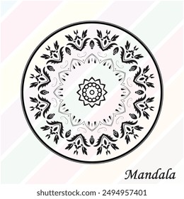 Vector Mandala moderno hermoso diseño