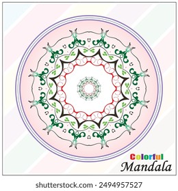 Modern Mandala vector beautiful design