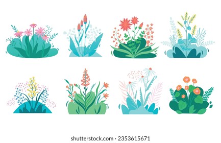 Modern meadow flower. Exotic botanical floral elements, flower bouquet with leaves and blossoms, nature green decor. Vector isolated set. Beautiful wildflowers bloom with greenery and grass