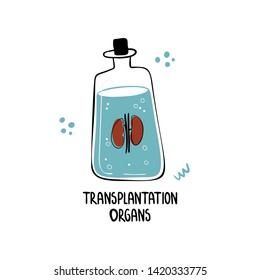 Modern medical hand drawn vector illustration. Artificial human organs. Huge flask with artificial lungs. The latest bioengineering technologies for creating viable organs for transplantation