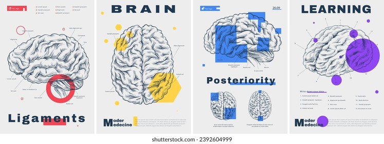 Modern medical posters set. Minimalistic creativity and art. Structure of brain. Neurobiology and anatomy, science. Cover or banner. Cartoon flat vector collection isolated on white background