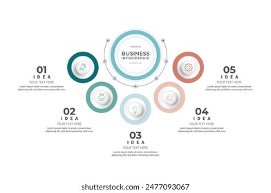 Modern minimalist elegant clean circular steps editable infographic design template vector 