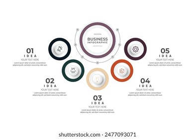 Modern minimalist elegant clean circular steps editable infographic design template vector 