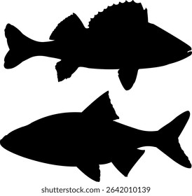 Modern and minimalist fish silhouette icon
