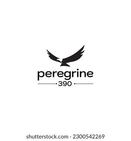 Modern and minimalist flying eagle concept logo design for such business.