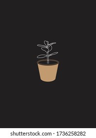 Modern and Minimalist Jade Plant in Pot Line Art. White Line un Dark Grey