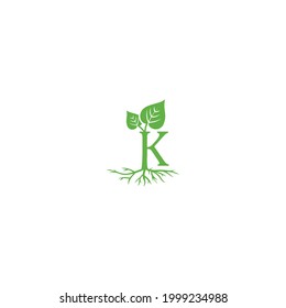 modern minimalist Kava leaf k letter logo designs