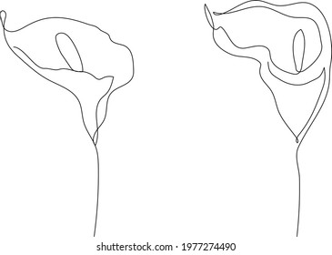Modern minimalist one line drawing of anthorium flowers set, isolated on white background.