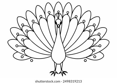 Modern and minimalist peacock vector line art of animals.