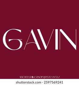 Modern minimalist sans serif alphabet display font vector for branding design